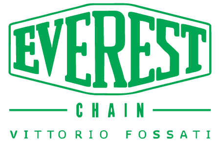 Everest Logo