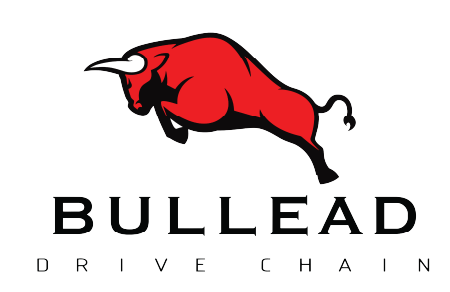 Bullead Logo